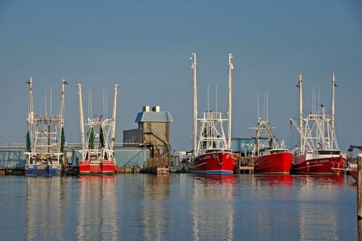 Trawling boats for fishing float together.