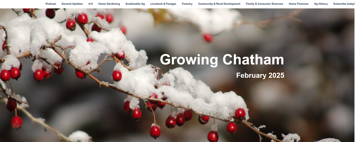 Cover of the Growing Chatham Newsletter 225