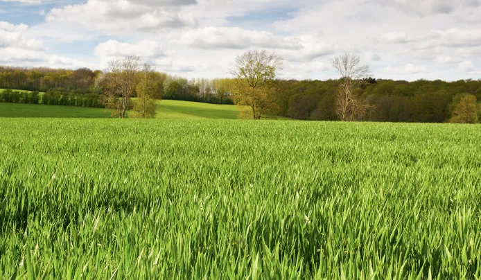 Spring Pasture Walk Series - Anson County Center | N.C. Cooperative ...