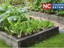 Garden Steward Program