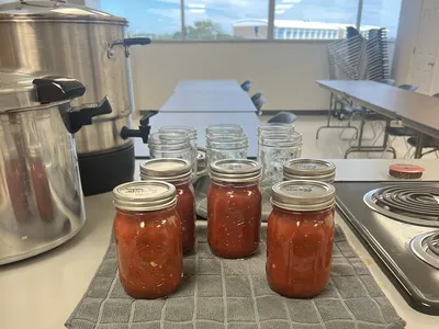 Canned Tomato Salsa
