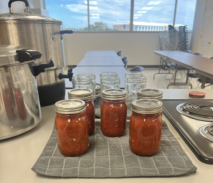 Canned Tomato Salsa