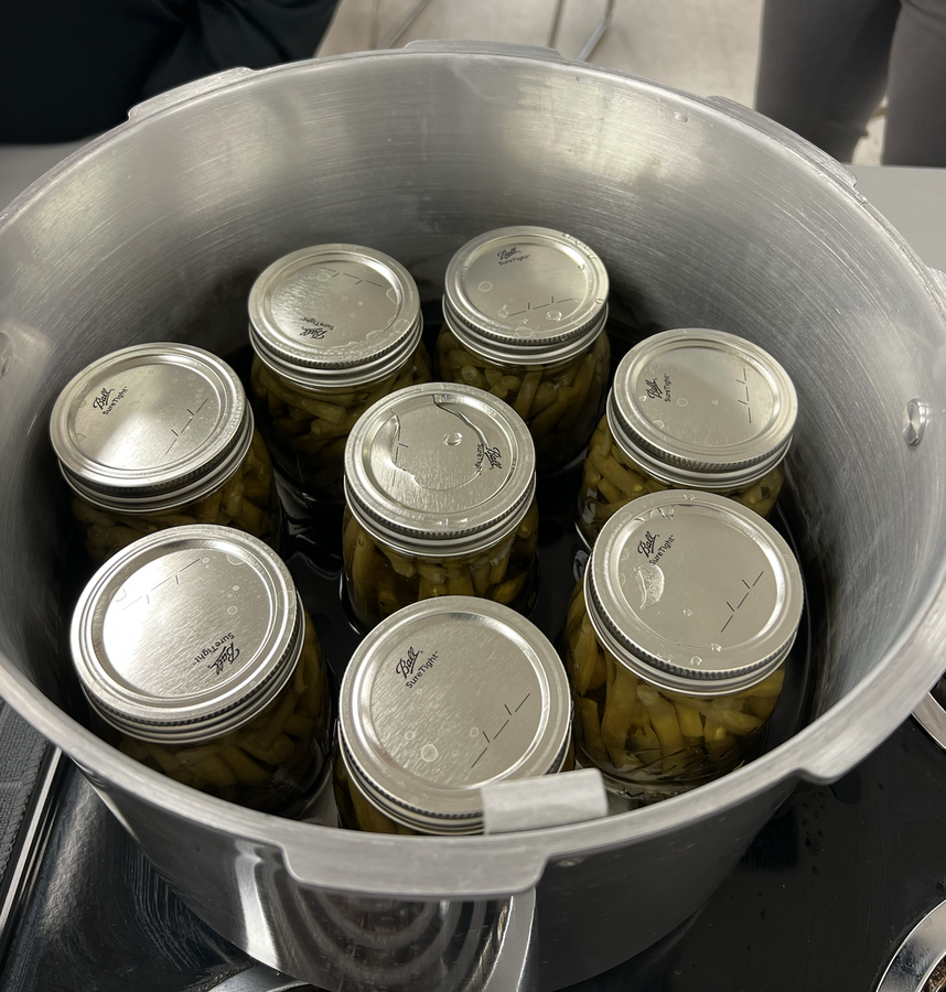 Pressure Canned Green Beans