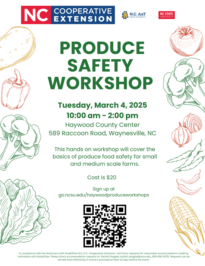 Flyer for workshop, all information included on web post