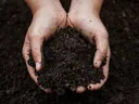 Hands holding soil