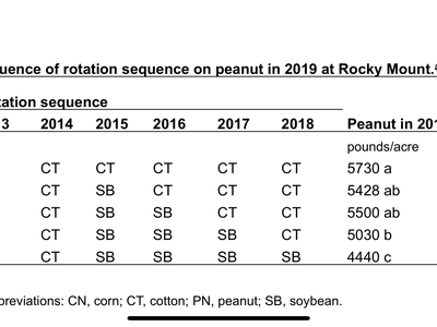 Rotation sequences on peanut in Rocky Mount.