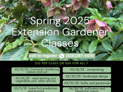 Classes are $10 each or $60 for all seven