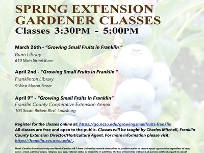 Spring Flyer Small Fruits 2025