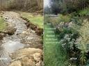 stream before and after restoration