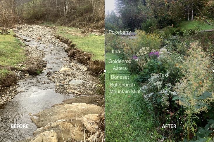 Images of the same stream, before and after wildflowers have been planted.