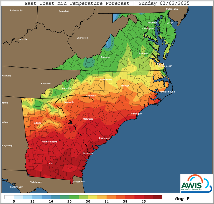 East Coast minimum temperature forecast map — Sunday 03/02/2025; color scale in deg F