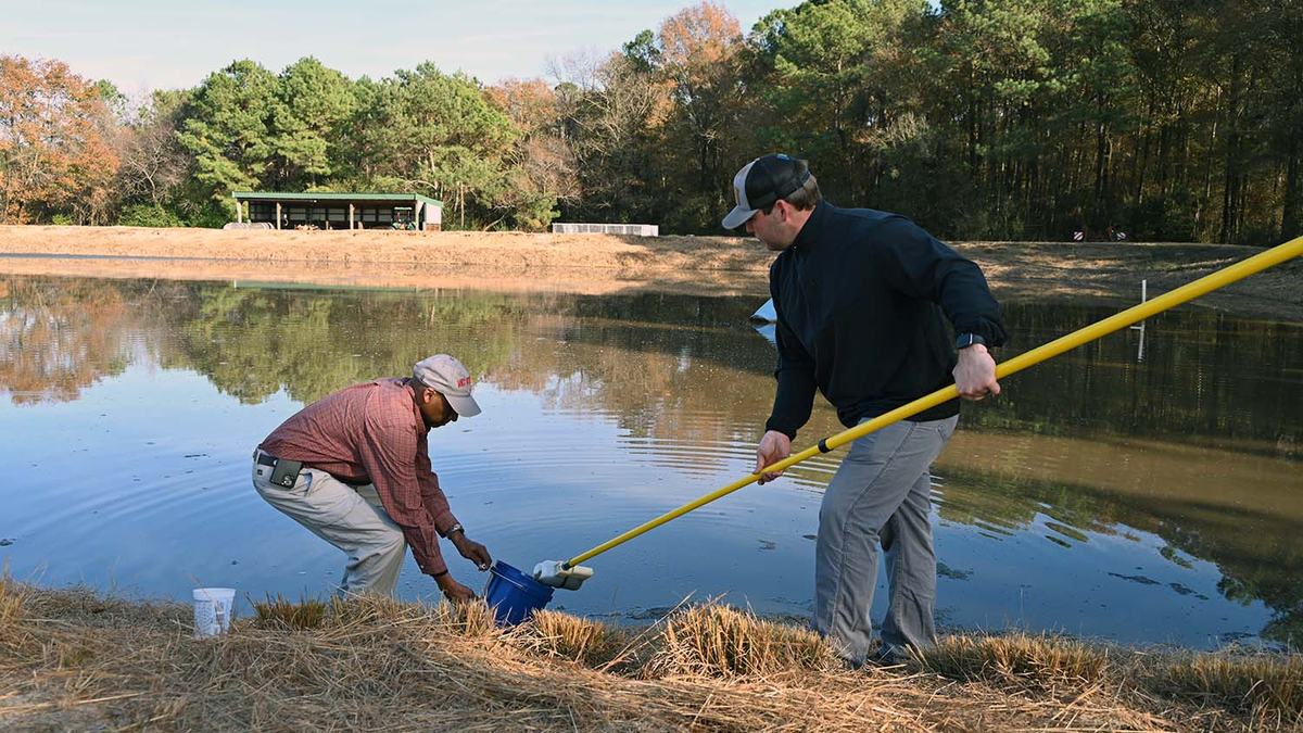 NC State Extension helps the North Carolina swine industry hogs and pigs