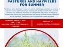image of fescue grass and information about the class