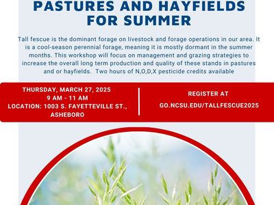 image of fescue grass and information about the class
