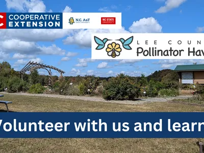 Pollinator Haven Garden Workday Logo 2025