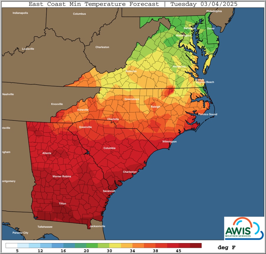 East Coast minimum temperature forecast map (Tuesday 03/04/2025), color scale in deg F
