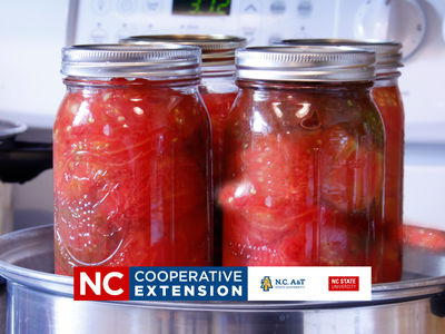 want to learn to preserve by using a water bath canner?