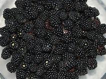blackberries