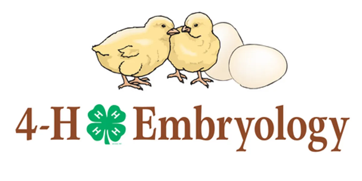 4-H Embryology logo