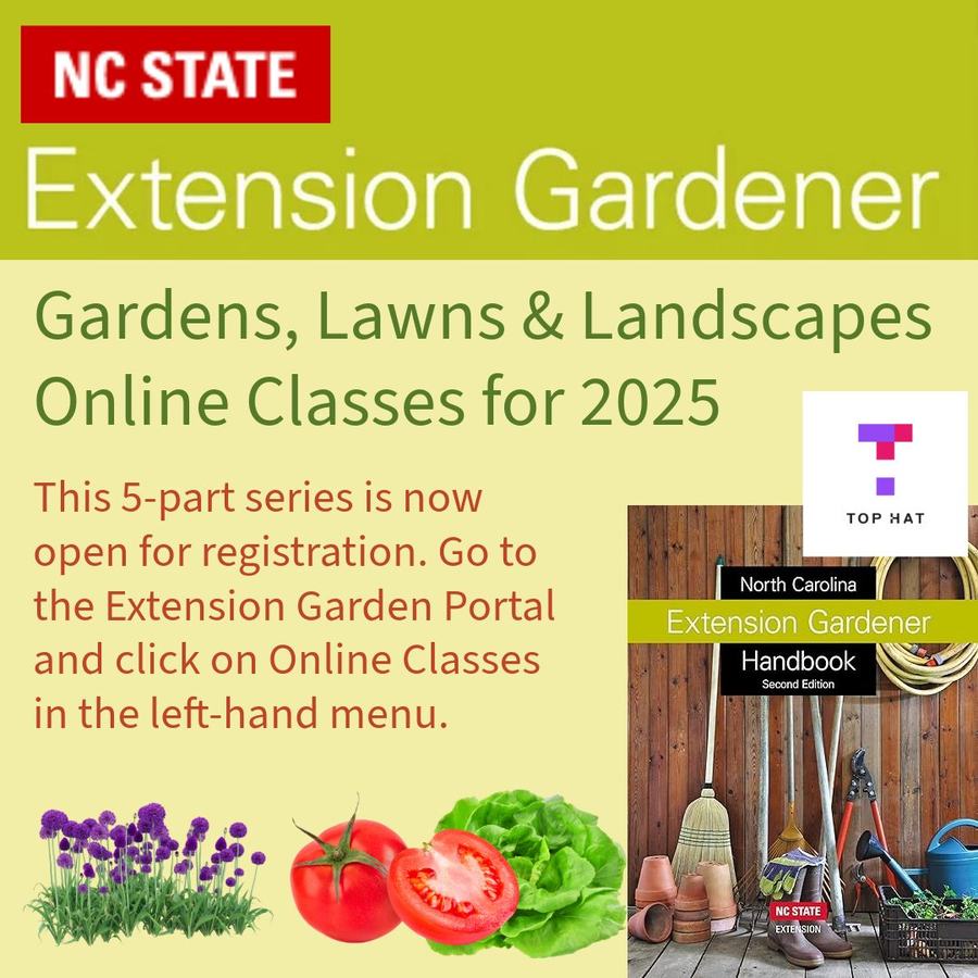 Courtesy of Extension Gardener