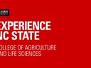 Red background with "EXPERIENCE NC STATE" and "College of Agriculture and Life Sciences" text and NC State logo.