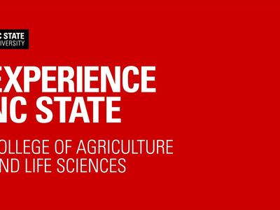 Red background with "EXPERIENCE NC STATE" and "College of Agriculture and Life Sciences" text and NC State logo.