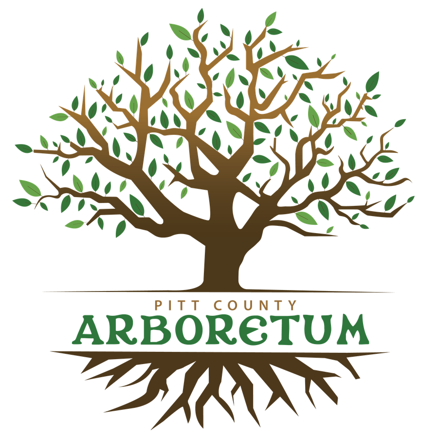 Stylized brown tree with green leaves, exposed roots and text "Pitt County Arboretum"