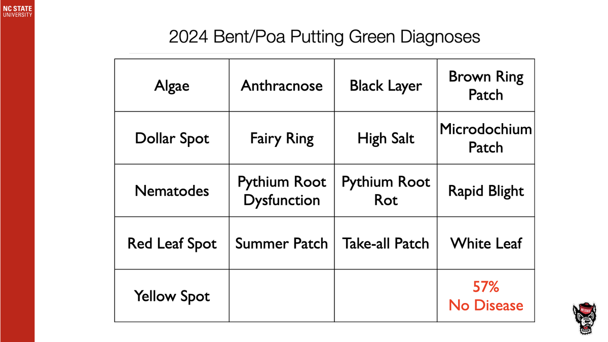 2024 Bent/Poa Putting Green Diagnoses table listing turf issues; "57% No Disease"