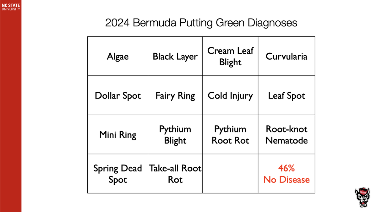 2024 Bermuda Putting Green Diagnoses table listing diseases; cell shows "46% No Disease"