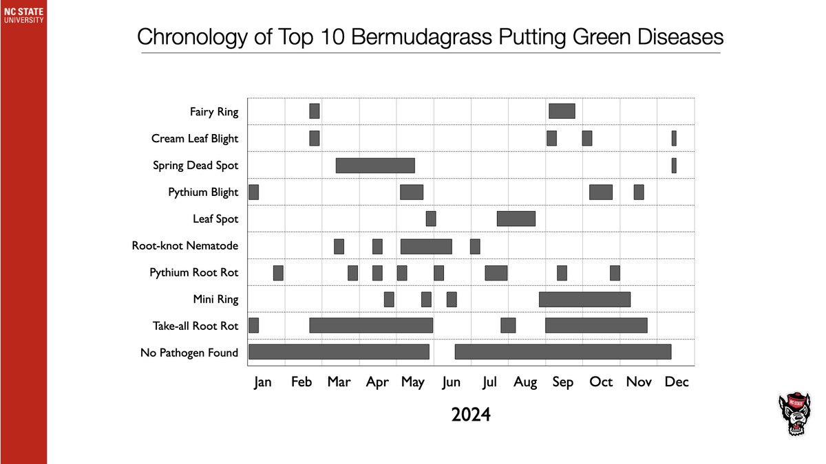 Chart showing chronology of top 10 bermudagrass putting-green diseases by month, 2024
