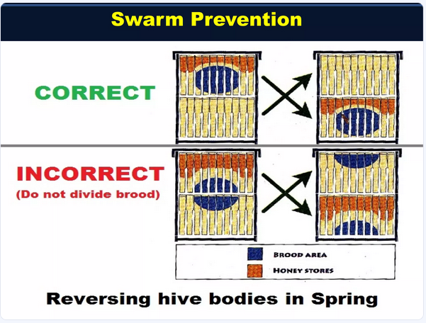 Swarm Prevention: correct vs incorrect reversing hive bodies in spring; brood blue, honey orange