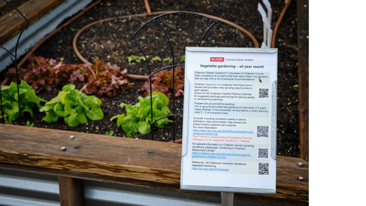 Raised bed with lettuce and a sign reading "Vegetable gardening – all year round"