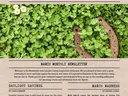 page 1 of March newsletter