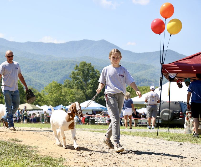Taking in the Swain County Agricultural Fair