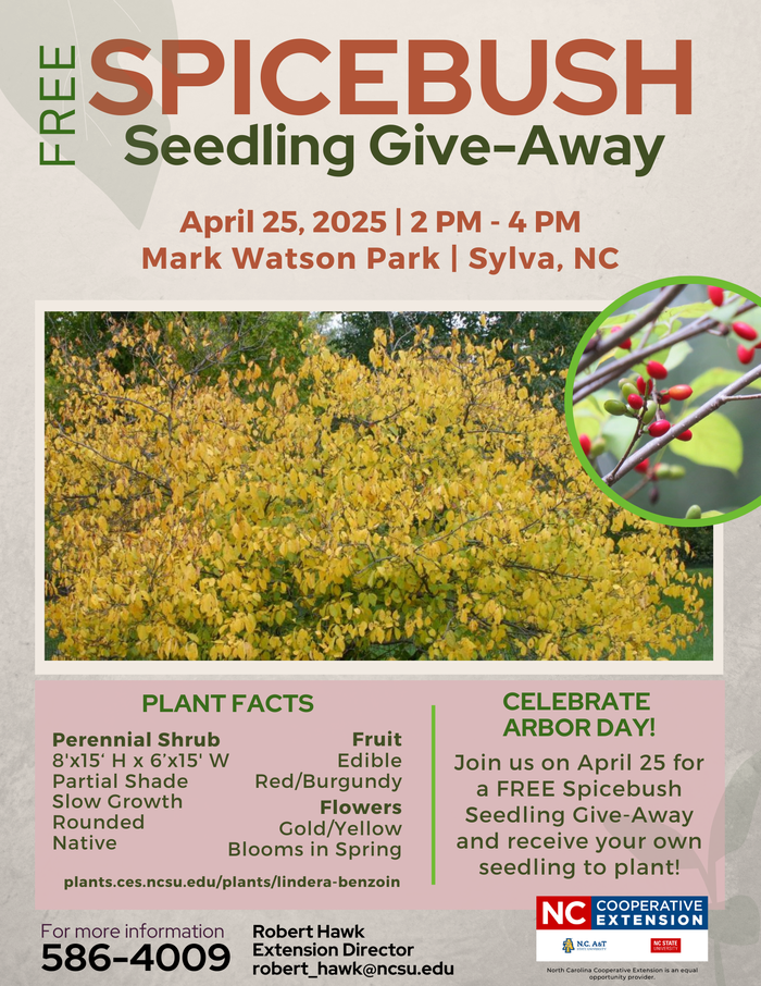 FREE Spicebush Seedling Give-Away, April 25 2025, 2–4 PM, Mark Watson Park, Sylva NC
