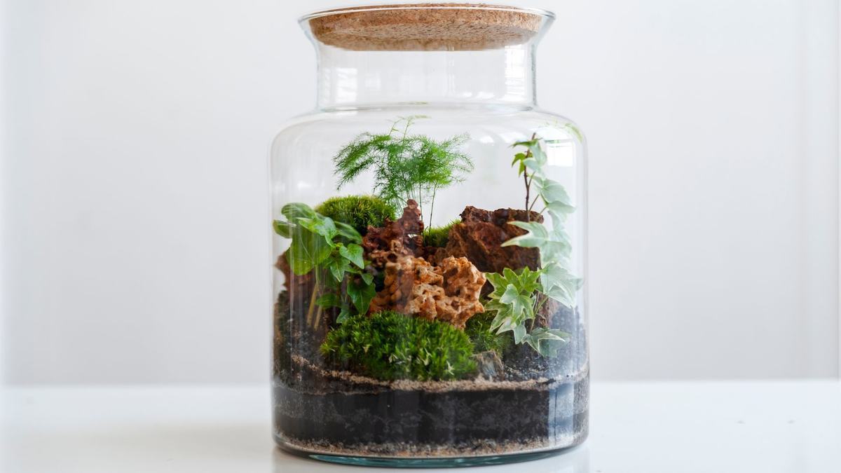 terrarium