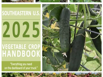 2025 Vegetable Crop Handbook