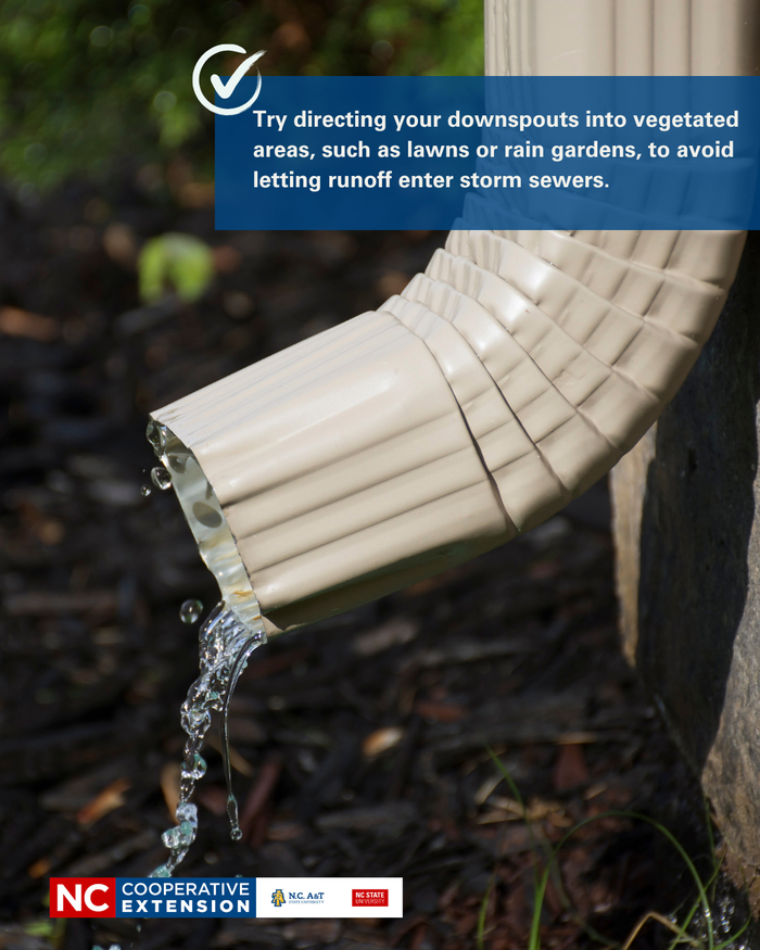 Try directing your downspouts into vegetated areas, such as lawns or rain gardens, to avoid letting runoff enter storm sewers.