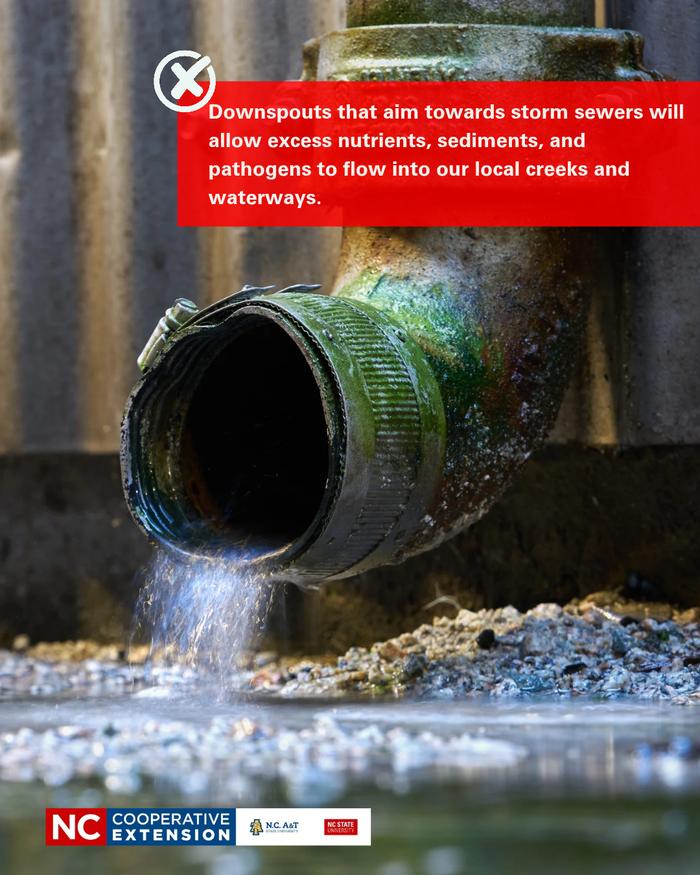 Downspouts that aim towards storm sewers will allow excess nutrients, sediments, and pathogens to glow into our local creeks and waterways.