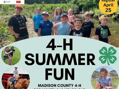 4-H Summer Fun - kids in creek and small photo bubbles