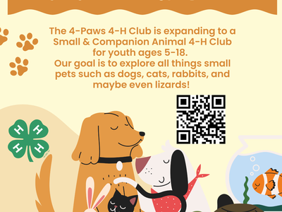 small companion animals