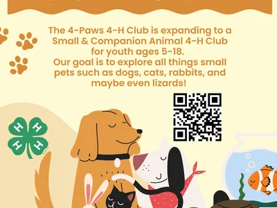 small companion animals