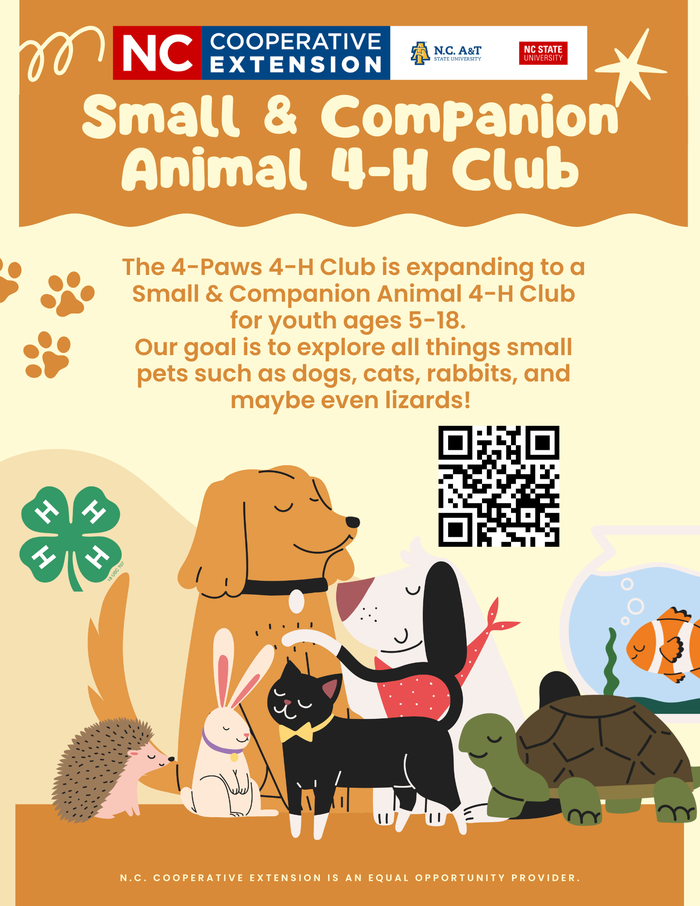 small companion animals
