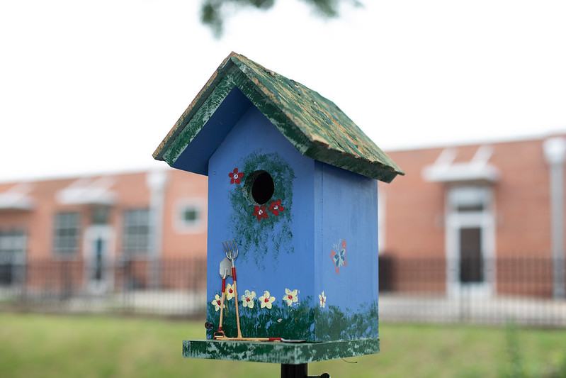 demo garden birdhouse