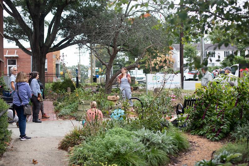 Ashley Troth, Extension Agent teaching Master Gardener volunteers about stem trimming in the Demonstration Garden 9/2024