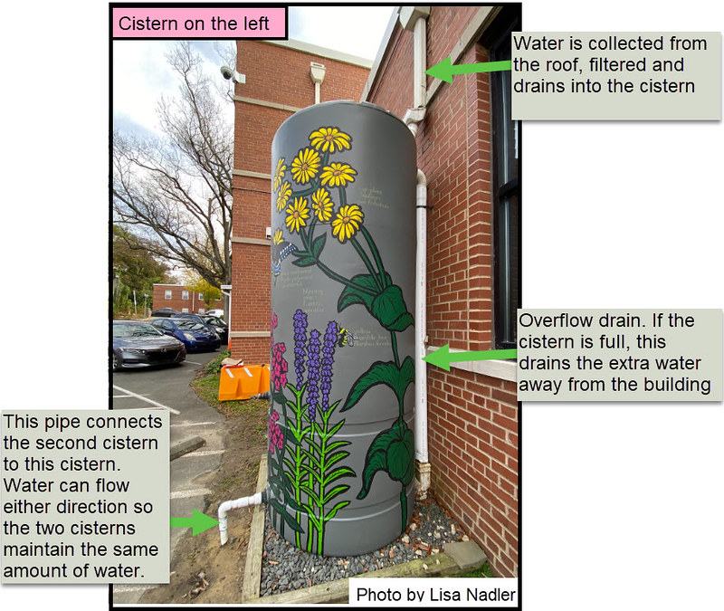 left cistern irrigation overview