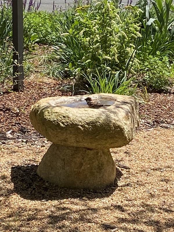 Hand carved birdbath