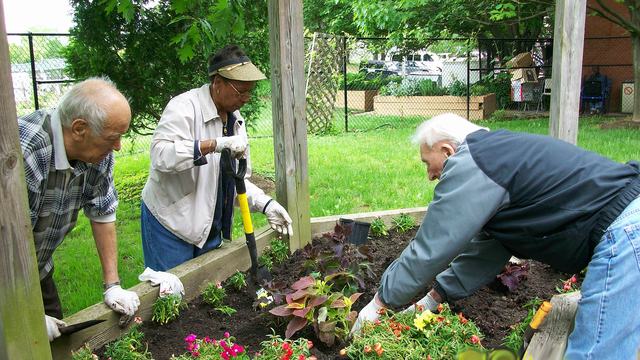 old folks gardening