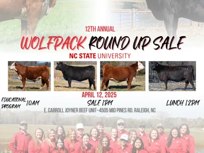 Wolfpack Round Up Sale poster with cattle and students — NC State, April 12, 2025, Sale 1PM