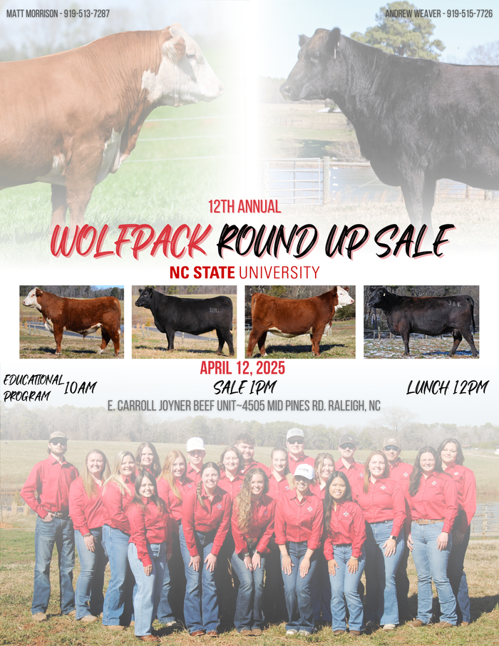 Wolfpack Round Up Sale poster with cattle and students — NC State, April 12, 2025, Sale 1PM